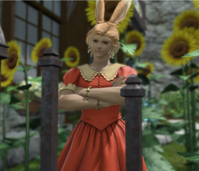 Amir standing in a cute reddish-orange dress with a white collar. He's standing behind a fence and in front of some sunflowers