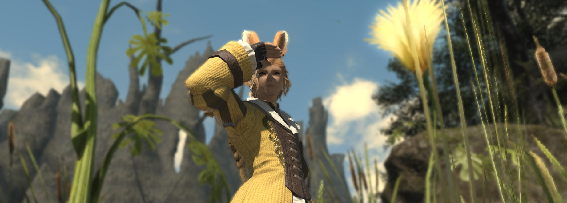 Amir standing in a field, looking ahead with his hand over his eyes to block out the sun.